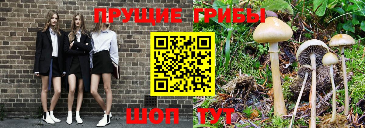 Галлюциногенные грибы ЛСД  Вход с VPN  Кубинка  Галлюциногенные грибы Psilocybine cubensis 